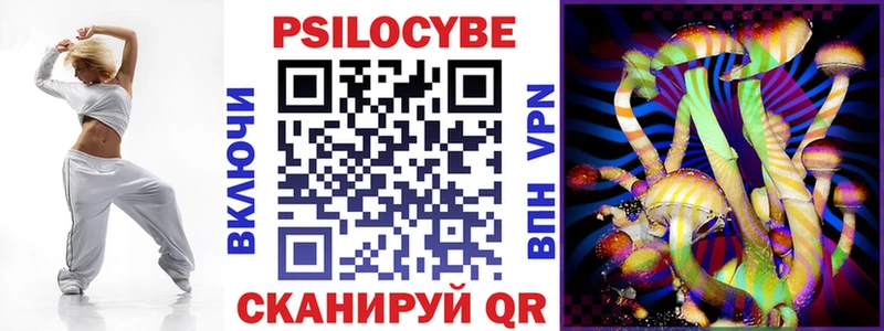 Псилоцибиновые грибы Psilocybe Октябрьск